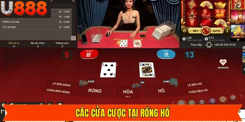 Điểm qua một số cửa cược có trong trò chơi Rồng Hổ