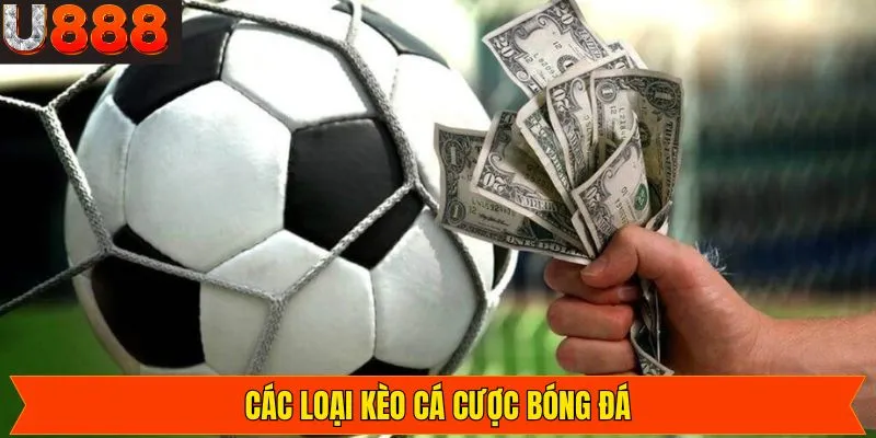 Hệ thống kèo cược bóng đá đa dạng chỉ có tại U888