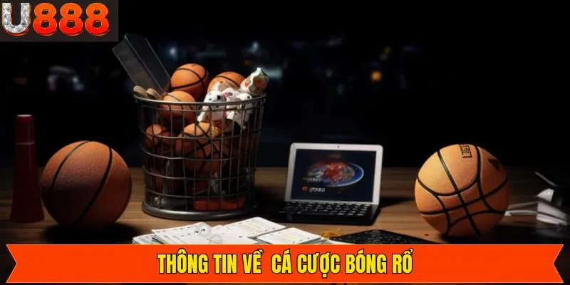 Giới thiệu thông tin tổng quát về cá cược basketball