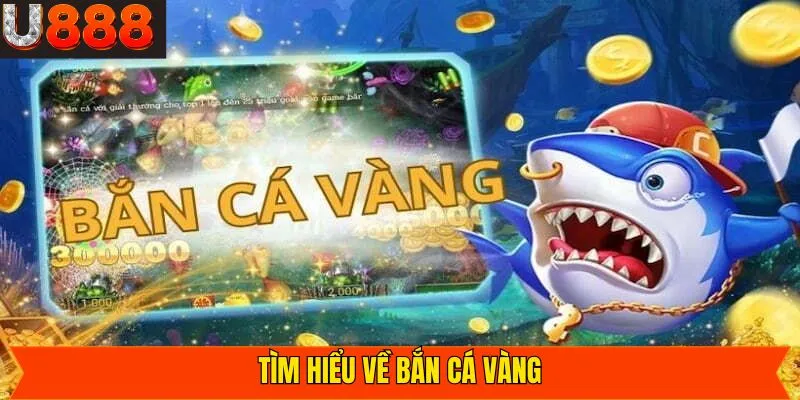 Khái niệm về bắn cá vàng