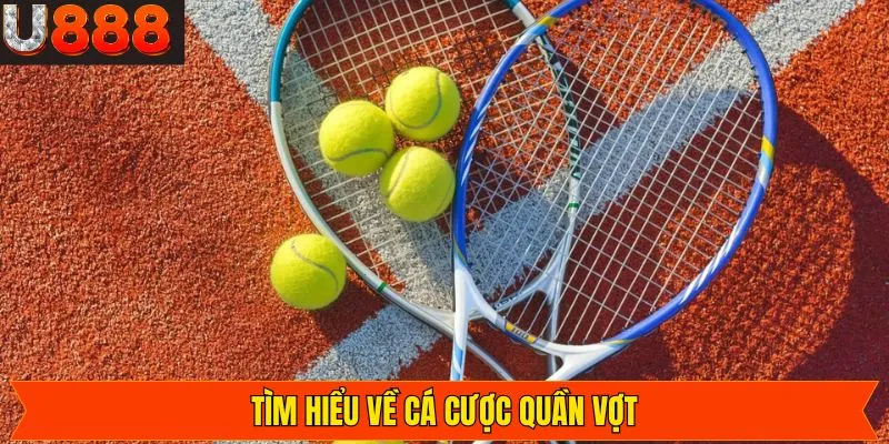 Giới thiệu chung về cá cược quần vợt tại U888