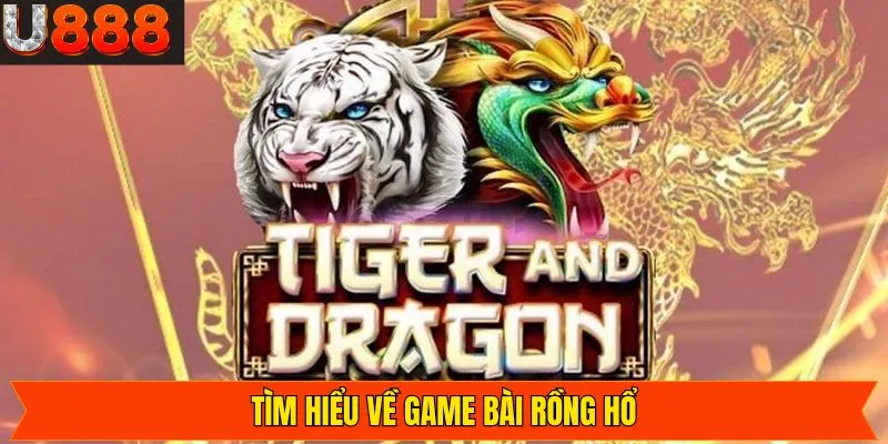 Khám phá đôi chút về game bài Rồng Hổ