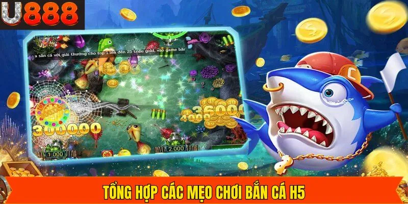 Những mẹo chơi bắn cá H5 đỉnh cao bất bại khi tham gia 