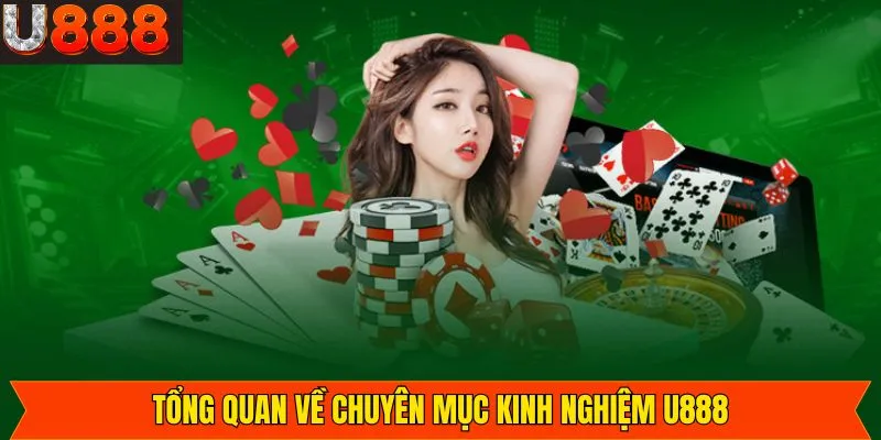 Kiến thức hữu ích từ kinh nghiệm U888