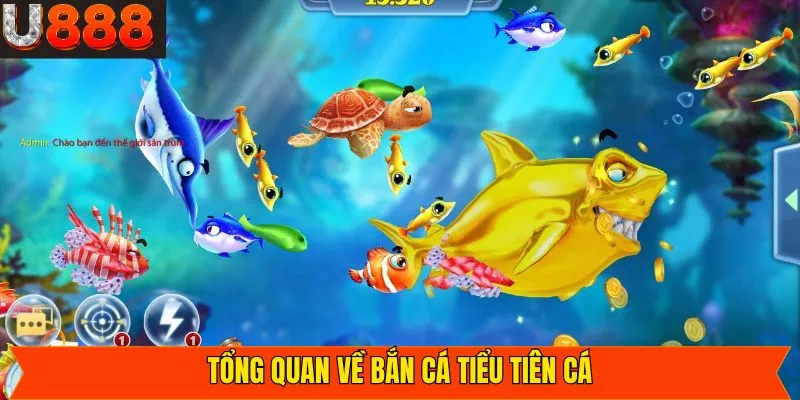 Bắn cá tiểu tiên cá là gì?